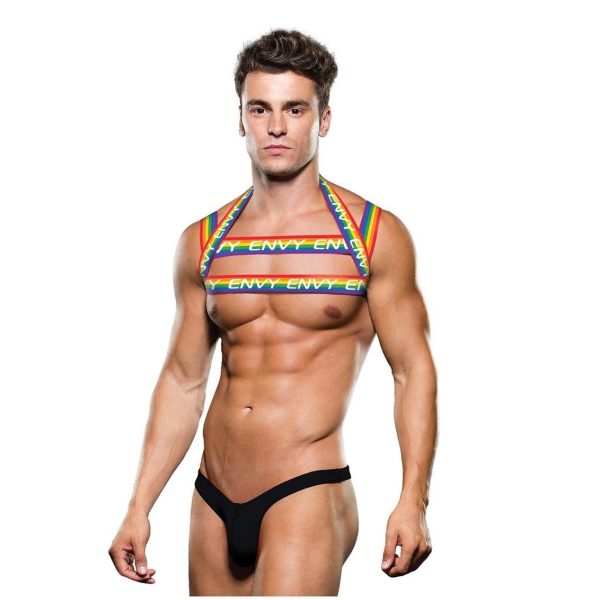 Envy Rainbow Mens Strappy Harness Chest Piece